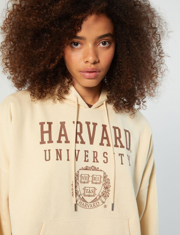 Harvard hoodie