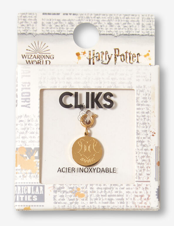 Harry Potter Hogwarts coin charm